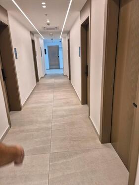 Foto - Wohnungsgesuch - 850,00 EUR Kaltmiete,