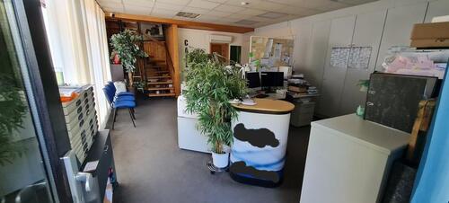 Foto - andere in Duisburg