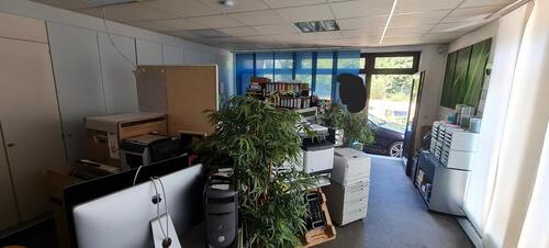 Foto - andere in Duisburg zur Miete