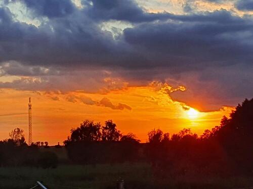 Foto - Einfamilienhaus zum Kaufen in Rostock