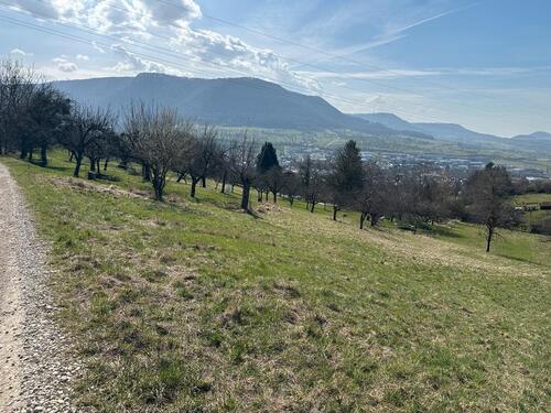Foto - Grundst&uuml;ck in Metzingen