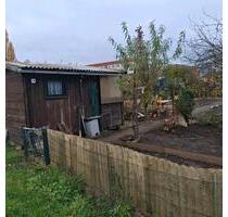 Pachtgarten im Mietergartenverein Markscheiderweg frei - Neubrandenburg Datzeberg