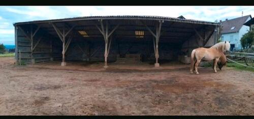 Foto - Stellplatz für Fahrzeuge jeglicher Art