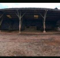 Stellplatz für Fahrzeuge jeglicher Art - Rammelsbach