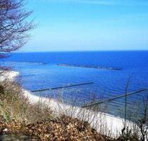 Kranichzug im Herbst , freie FeWo für Zwei an der Ostsee - Barth