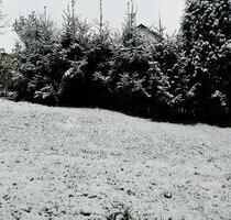 Freistehendes Einfamilienhaus in Altenbeken