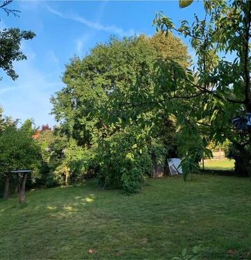 Foto - 8 Zimmer Mehrfamilienhaus, Wohnhaus zum Kaufen in Peine