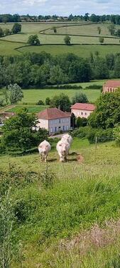 Foto - Großzügiges 1 bis 3 Familienhaus zu verkaufen