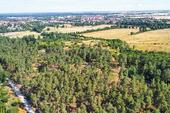 Foto - Grundstück zum Kaufen in Gommern