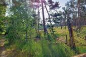 Foto - Grundstück in Gommern zum Kaufen