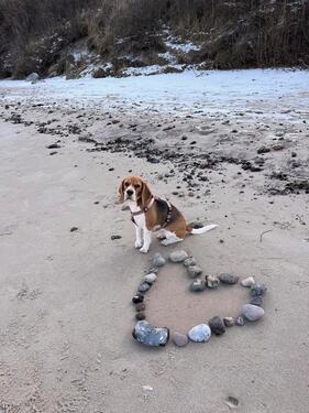 Foto - Fewo von Privat auf Rügen - 54,00&nbsp;EUR Kaltmiete,