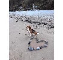 Fewo von Privat auf Rügen - 54,00&nbsp;EUR Kaltmiete, in Kulmbach (PLZ: 95326) Blaich