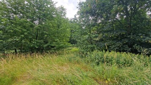 Foto - Grundst&uuml;ck zur Miete in Eisleben (Lutherstadt)