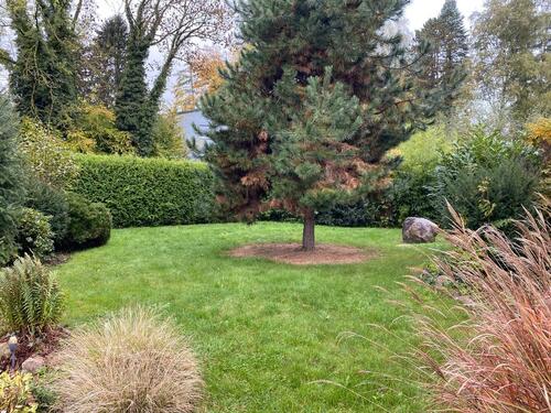 Foto - 15 Zimmer Mehrfamilienhaus, Wohnhaus zum Kaufen in Hessisch Oldendorf