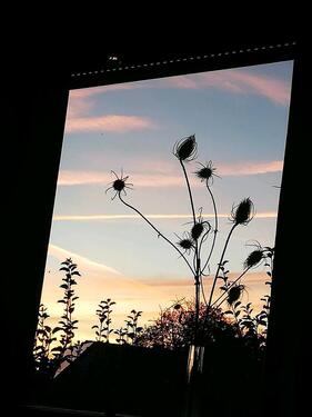 Foto - EFH in Kiel - Kroog - 1.000,00&nbsp;EUR Kaltmiete, ca.&nbsp; 75,00&nbsp;m&sup2;