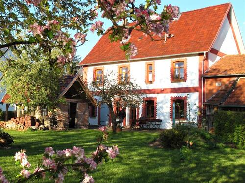 Foto - andere in Wesertal