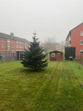 Foto - Einfamilienhaus in Hessisch Oldendorf