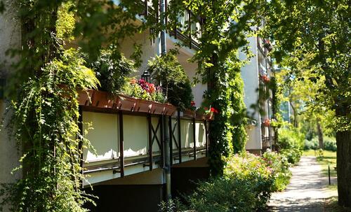 Foto - 2 Zimmer Etagenwohnung in Neubrandenburg