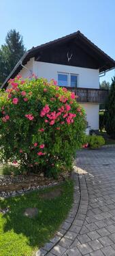 Foto - Ferienwohnung - 50,00&nbsp;EUR Kaltmiete,