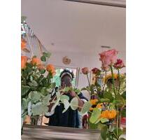 I'm looking for an apartment - Freiburg im Breisgau Oberau