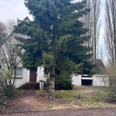 Foto - 5 Zimmer Einfamilienhaus zum Kaufen in Bünde