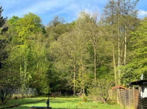 Foto - Großes Traumgrundstück am Wald - Kernsanierte Doppelhaushälfte