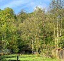 Großes Traumgrundstück am Wald - Kernsanierte Doppelhaushälfte - Gladbeck Alt-Rentfort