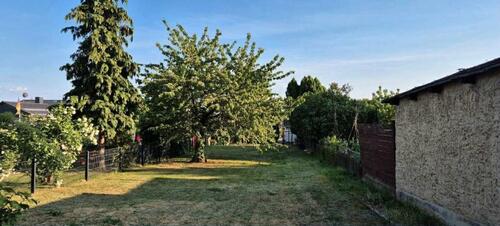 Foto - Einfamilienhaus in Erxleben zum Kaufen