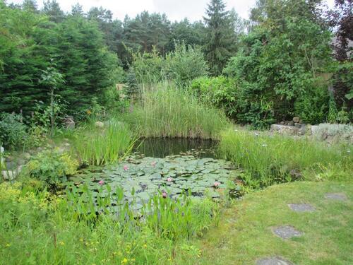 Foto - Einfamilienhaus in Warin zum Kaufen