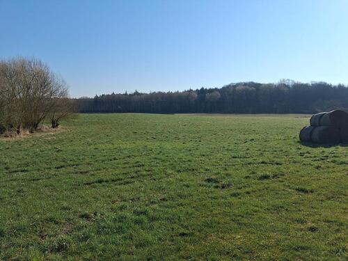 Foto - Etagenwohnung in Brüsewitz zur Miete