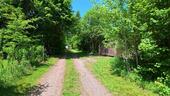 Foto - Einfamilienhaus in Neuhütten zum Kaufen