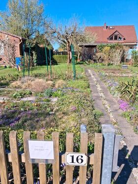 Foto - Kleingarten preiswert abzugeben