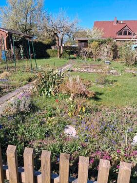 Foto - Grundst&uuml;ck zur Miete in Chemnitz