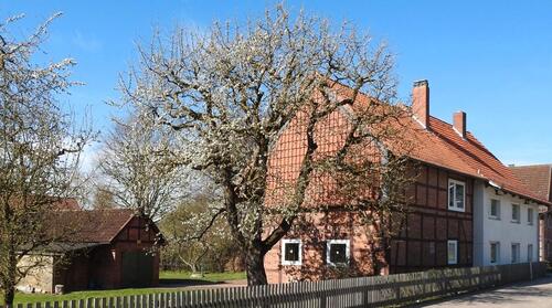 Foto - 6 Zimmer Einfamilienhaus in Sibbesse