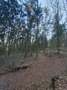 Foto - Grundst&uuml;ck in Freystadt