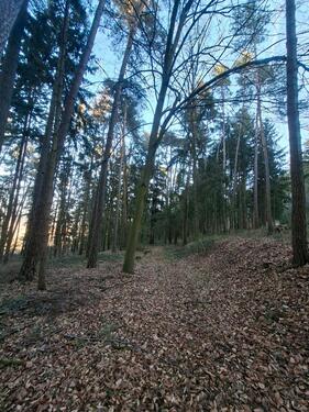 Foto - Grundst&uuml;ck in Freystadt zur Miete