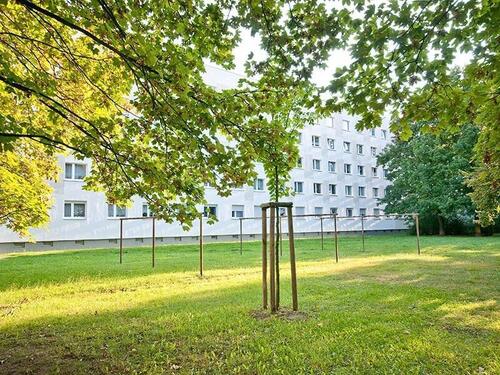 Foto - Etagenwohnung zur Miete in Halle (Saale)