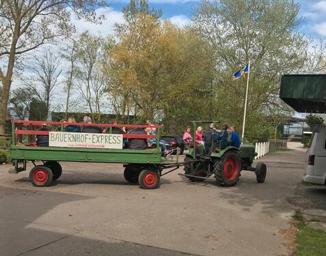 Foto - andere zur Miete in Garding