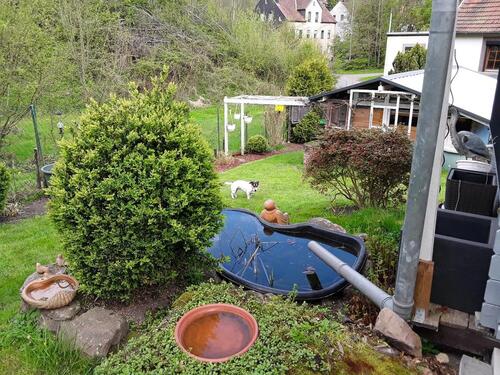 Foto - 5 Zimmer Einfamilienhaus zum Kaufen in Schiffweiler