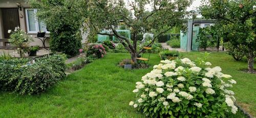 Foto - Grundstück zur Miete in Cottbus