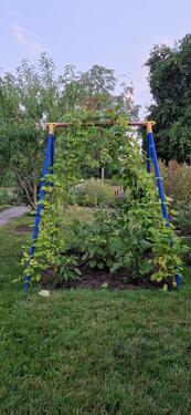 Foto - Grundstück in Cottbus zur Miete