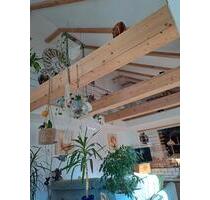 Doppelhaushälfte zu Verkaufen - 249.000,00&nbsp;EUR Kaufpreis, ca.&nbsp; 132,00&nbsp;m&sup2; in Weener (PLZ: 26826)