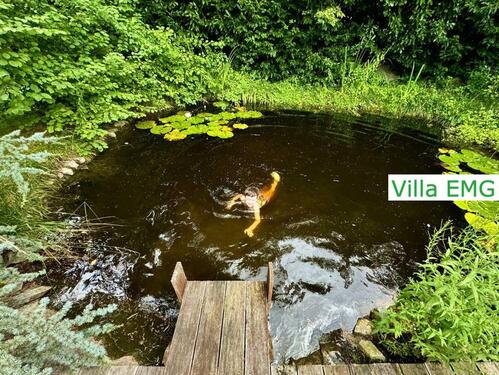 Foto - andere in Bensheim zur Miete