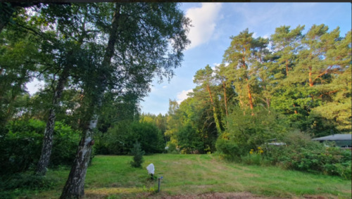 Foto - Grundstück in Ferch Schwielowsee (2 Pächter mit jeweils 725 m²)