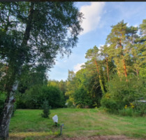 Grundstück in Ferch Schwielowsee (2 Pächter mit jeweils 725 m²)