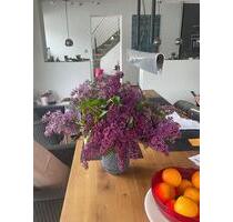 WG Zimmer in wunderschönem Stadthaus - Osnabrück Dodesheide