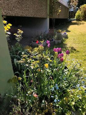 Foto - 1 Zimmer Hochparterre zum Kaufen in Bad Harzburg