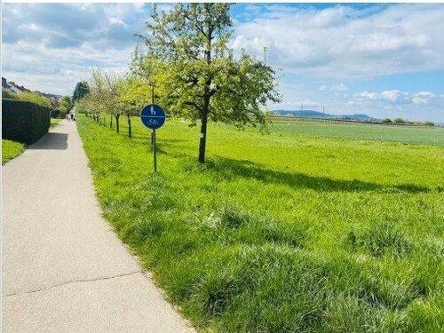 Foto - 2 Zimmer Etagenwohnung in Wiesloch