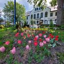 Foto - Einfamilienhaus zur Miete in Sohland an der Spree