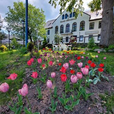 Foto - Einfamilienhaus zur Miete in Sohland an der Spree